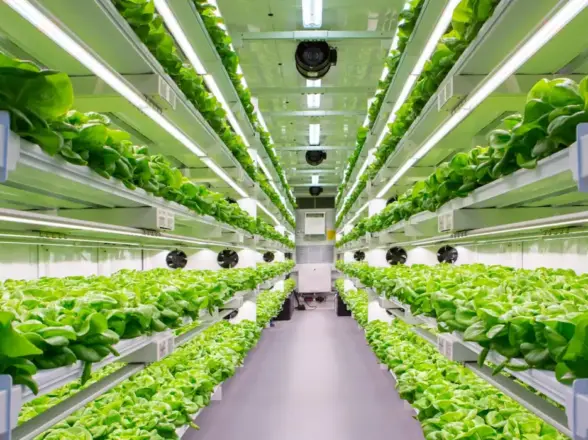 Shipping Container Farm Innovation