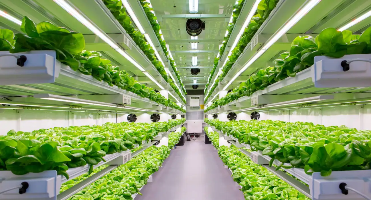Innovative Techniques And Technologies For Shipping Container Farming