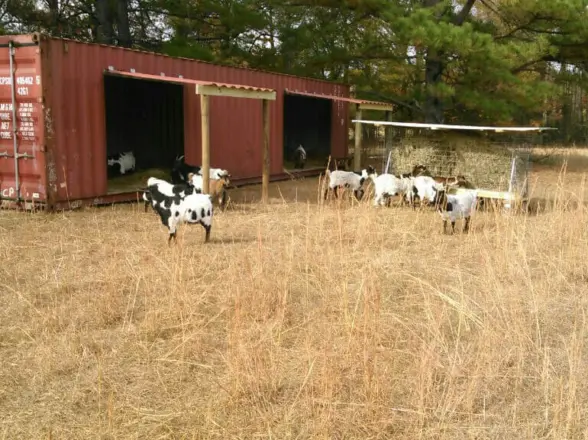 Shipping Containers On A Farm