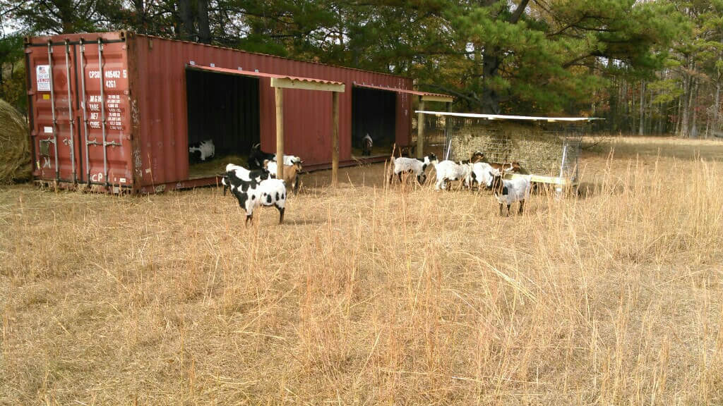 Cost-Effective Use Cases For Shipping Containers On A Farm